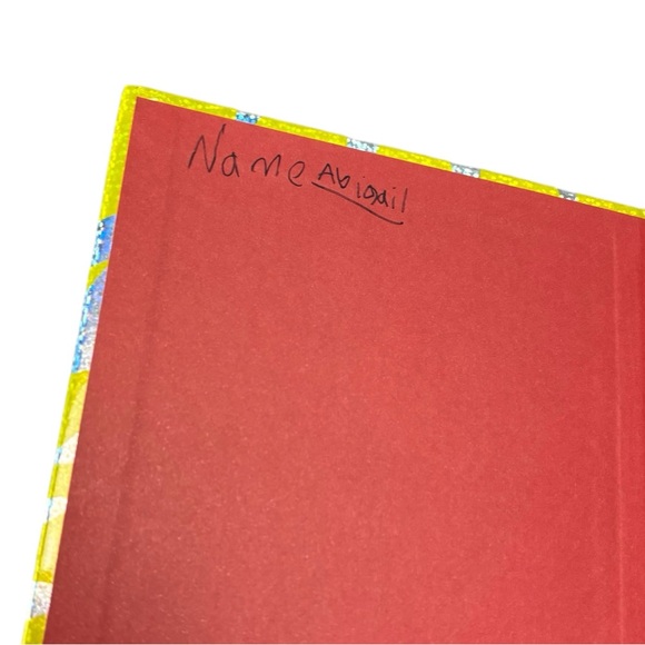 Fly Guys Big Family Hard Cover Book Early Reader - Picture 3 of 8